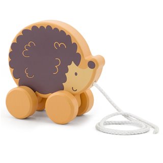 Pull along - hedgehog
